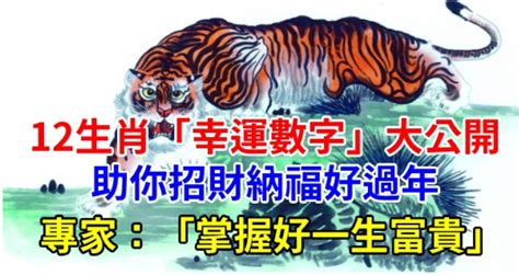 12生肖幸運數字|五行命理！12生肖的幸運數字和顏色